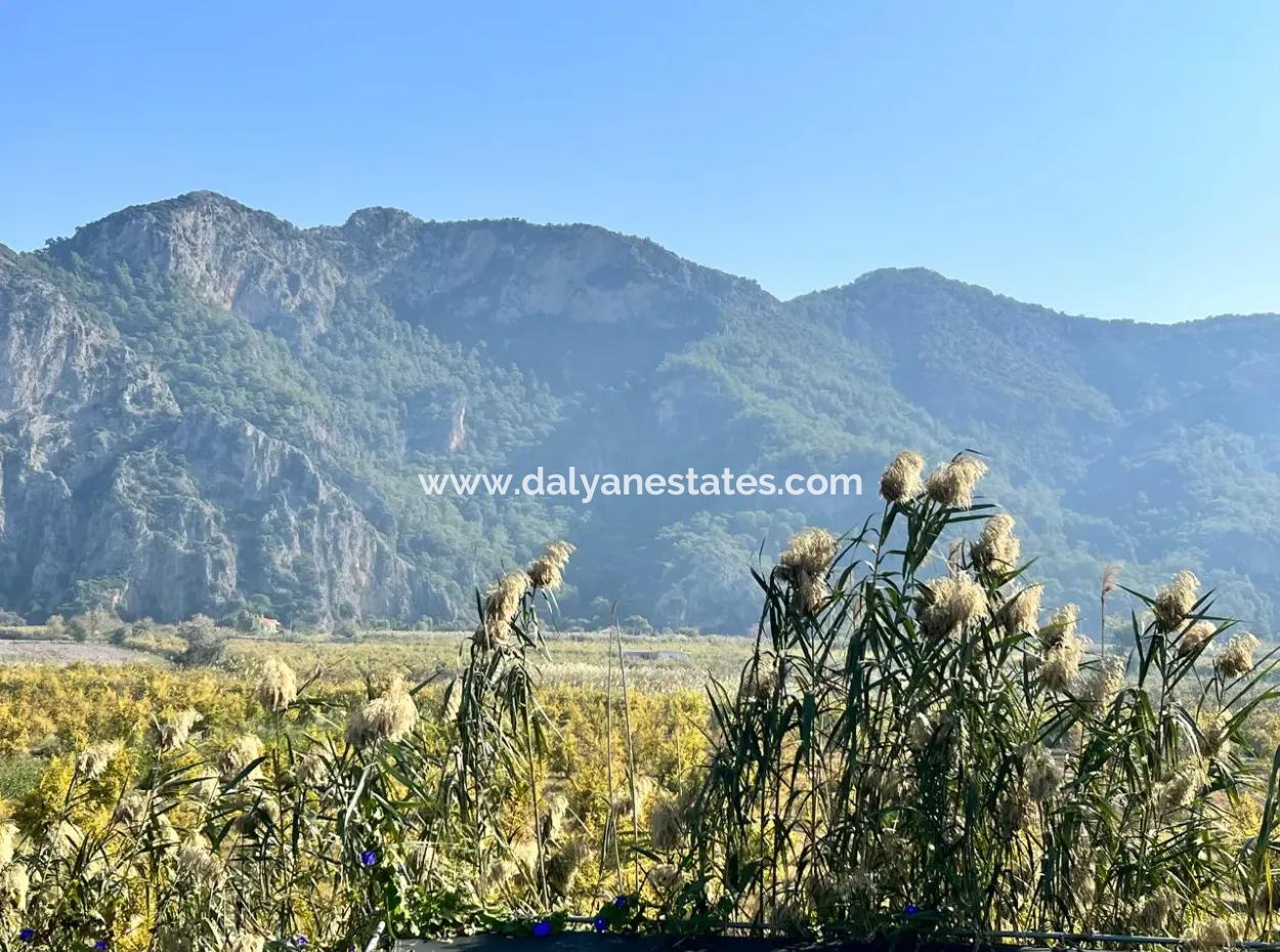 Dalyan Satılık  Nar Bahçesi
