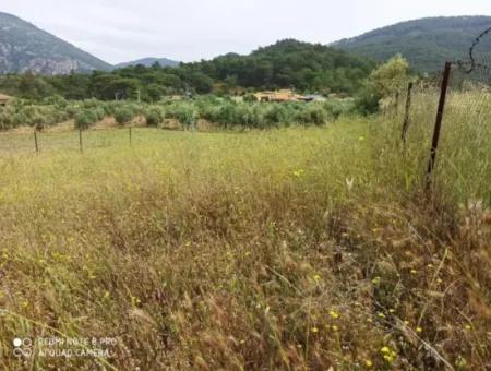 Dalyan Gökbelde Satılık Arsa