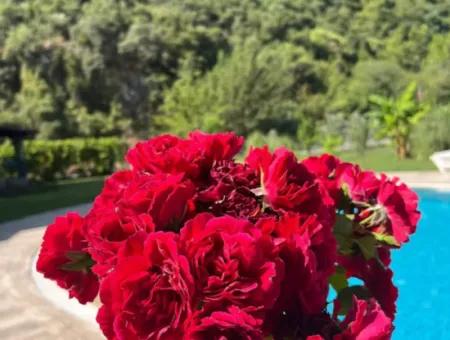 Dalyan Okçular Da Satılık Dubleks Villa