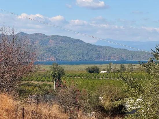 Karadağ’da Toprağa Değer Katan Bir Fırsat